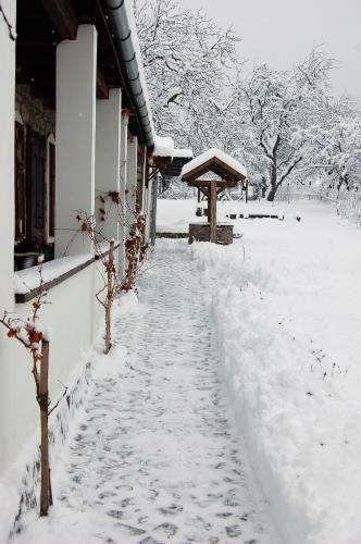 Hostal Vitamin B63 Vend�gh�z