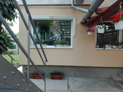 Rita Apartman