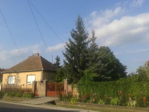 Evelin Vend�gh�z