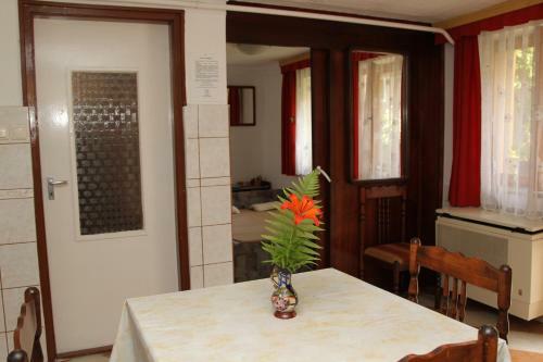 Apartamento F�l�p Vend�gh�z