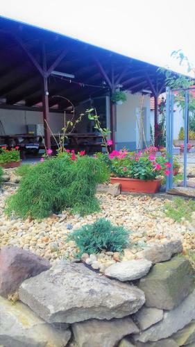 Hostal Krist�ly Vend�gh�z