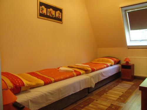 Patak-party Apartmanok
