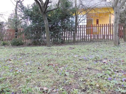 Puszta Apartman A
