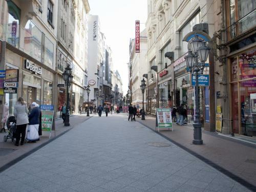 Aurora Apartment Danube View