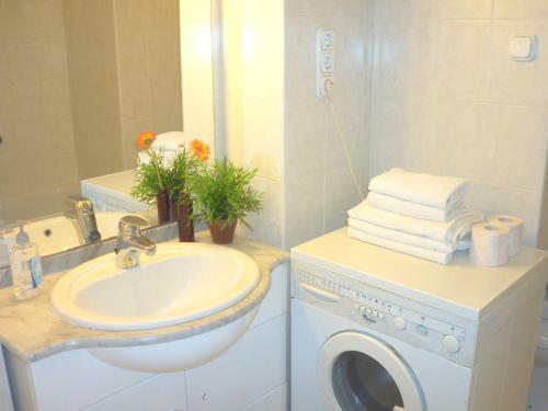 Apartment Akademia