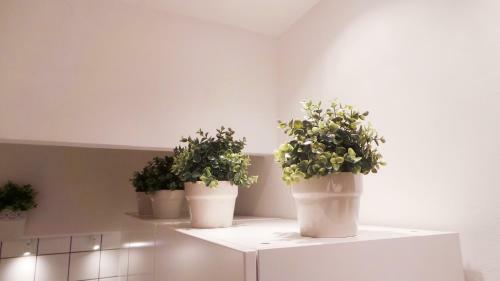 Apartamento New Astoria