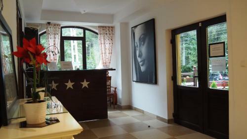 Hostal Pensiunea Clasic