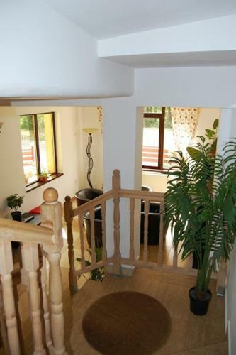 Hostal Pensiunea Clasic