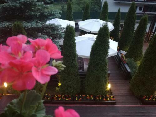 Hostal Freya House