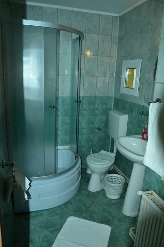 Hostal Vila Foisor