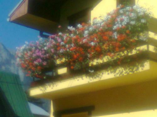 Hostal Vila Foisor