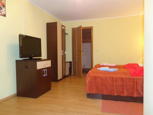 Hostal Pensiunea Radu
