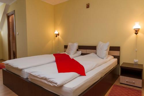 Hostal Pensiunea Radu