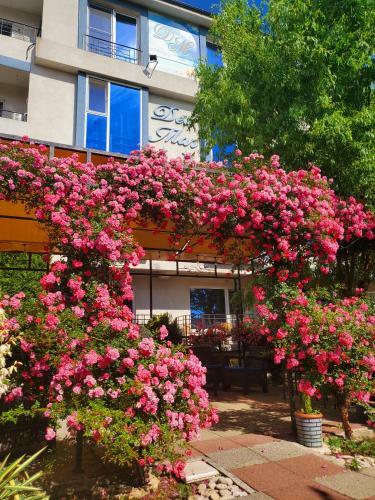 Hostal Vila Del Mar