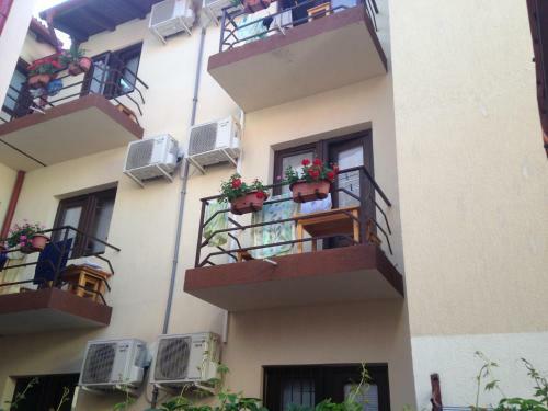 Hostal Pensiunea Casa Firu