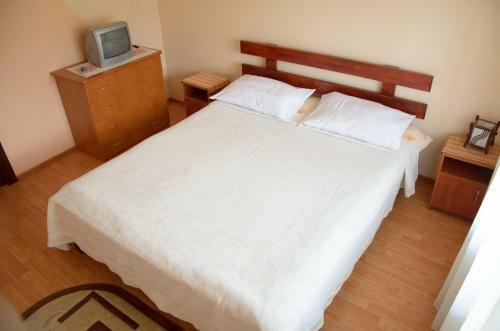 Hostal Rustic Argesean