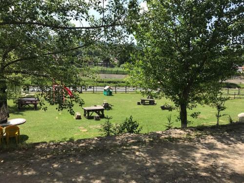 Hostal Pensiunea Trei Ponei