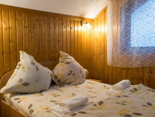 Hostal Pensiunea Colt De Munte