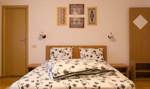 Hostal Pensiunea Colt De Munte