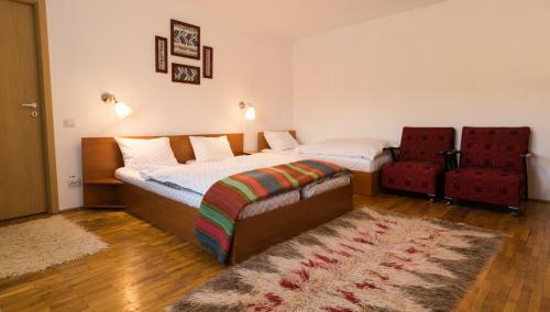 Hostal Pensiunea Colt De Munte