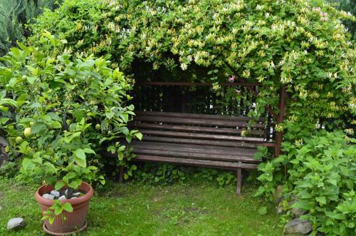 Hostal Pensiunea Colt De Munte
