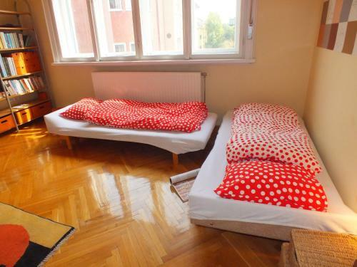 Apartment Erod4