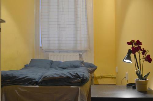 Hostal Riverside Danube Guest House