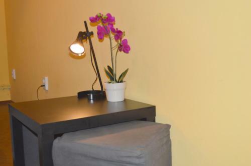 Hostal Riverside Danube Guest House