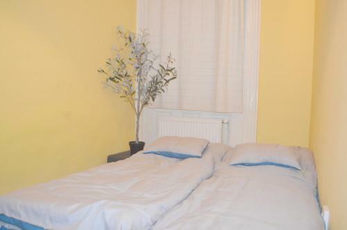 Hostal Riverside Danube Guest House