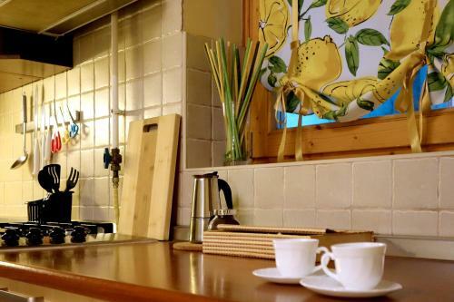 Vivid Rozsa Apartment