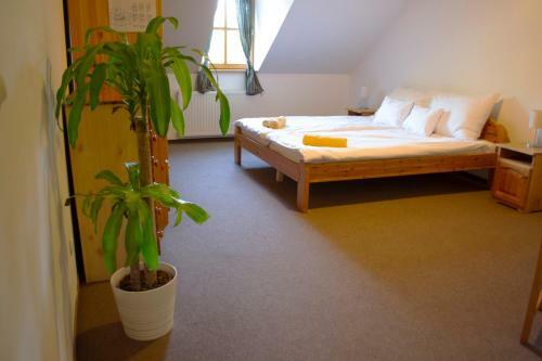 Hostal Grand Slam Park Inn