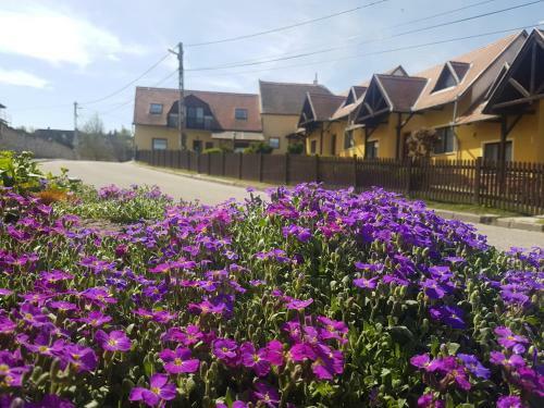 Bed & Breakfast Huber Panzi� �s Vend�gh�z