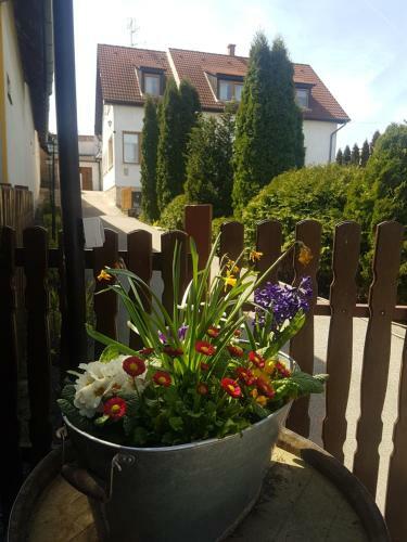 Bed & Breakfast Huber Panzi� �s Vend�gh�z