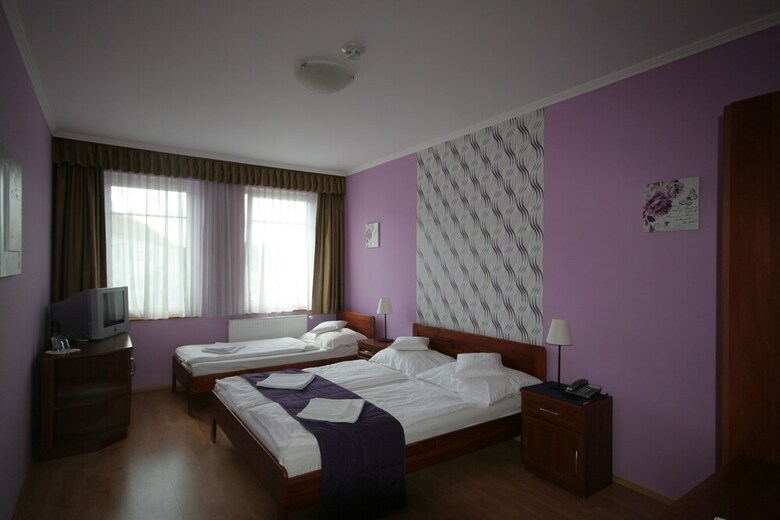 Bed & Breakfast Hotel-patonai Panzi�