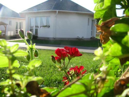 Kab�ka Lovastanya (riding Stable) Apartman