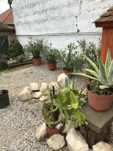 Hostal H�v-lak Apartman