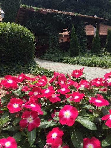 Bed & Breakfast Sz�passzony Fogad�