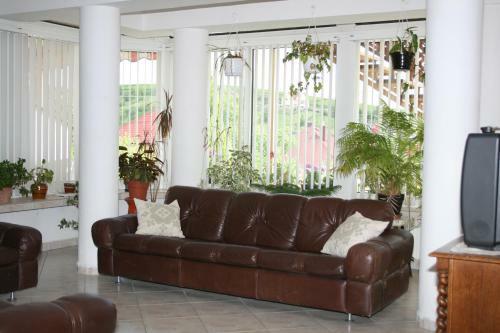 Apartamento Alfa Vend�gh�z