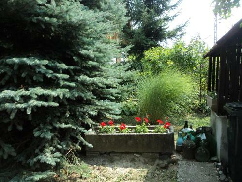 V�gi Vend�gh�z