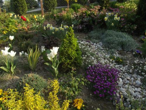 Hostal Magdolna Vend�gh�z