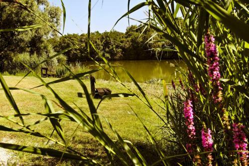 Bed & Breakfast S�ri Cs�rda Panzi�