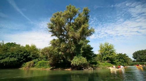 Bed & Breakfast S�ri Cs�rda Panzi�