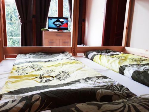 Bed & Breakfast H?forr�s Panzi�