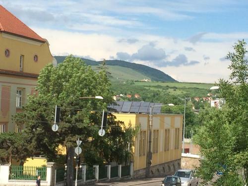 Medina Apartman