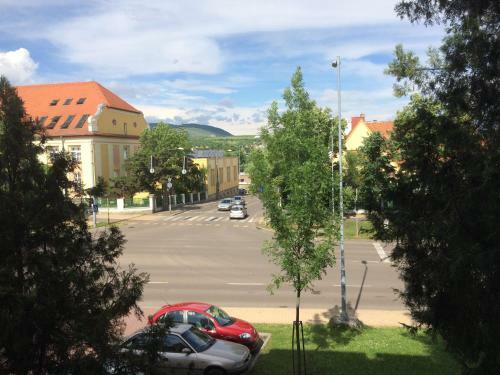 Medina Apartman