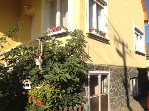 Apartamento Fejedelem Vend�gh�z