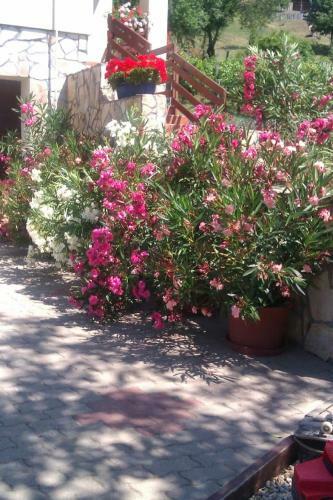Hostal Anna Mediterr�n Vend�gh�z
