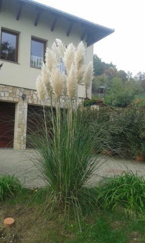 Hostal Anna Mediterr�n Vend�gh�z