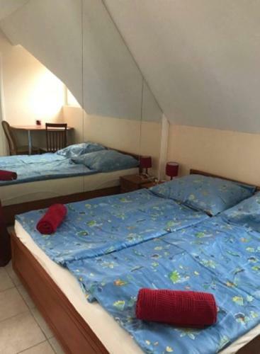 Bed & Breakfast Amadeus Villa Panzi�