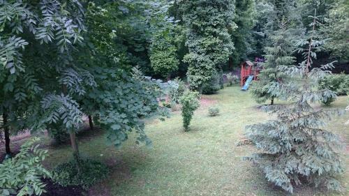 Hostal Park Panzi� �s �tterem
